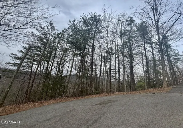 8th image of 6 Thissa Way, Gatlinburg, TN 37738 | MLS# 3302093