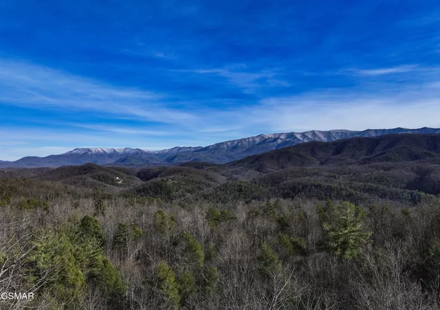 1st image of 0 Henry Town Road, Sevierville, TN 37876 | MLS# 3264173