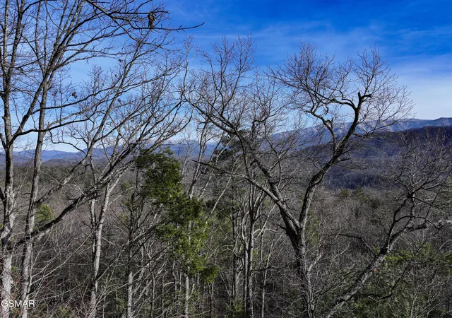 5th image of 0 Henry Town Road, Sevierville, TN 37876 | MLS# 3264173