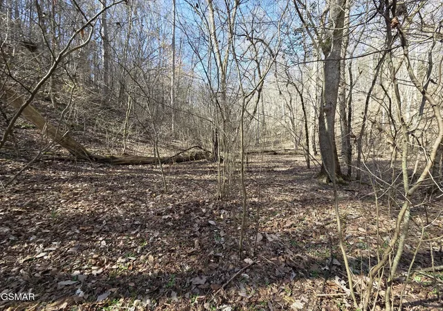1st image of 0 Baysinger Road, Newport, TN 37821 | MLS# 3298233