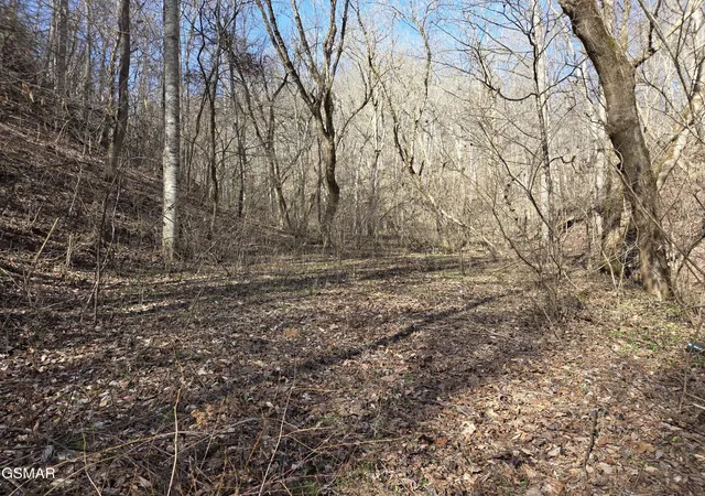 2nd image of 0 Baysinger Road, Newport, TN 37821 | MLS# 3298233