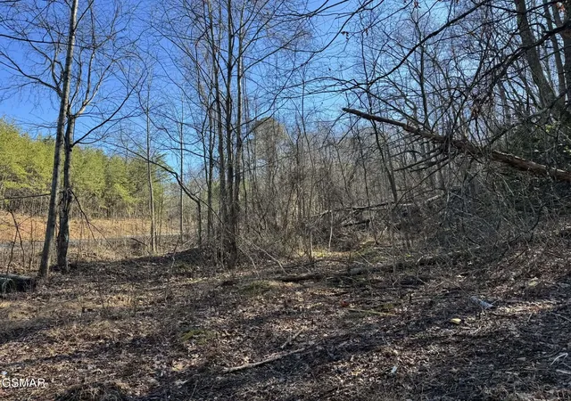 1st image of 27 Blue Springs Way, Newport, TN 37821 | MLS# 3272753