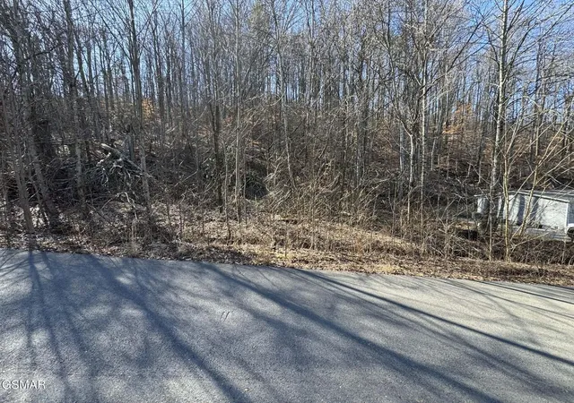 12th image of 27 Blue Springs Way, Newport, TN 37821 | MLS# 3272753