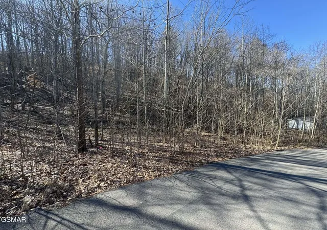 3rd image of 27 Blue Springs Way, Newport, TN 37821 | MLS# 3272753