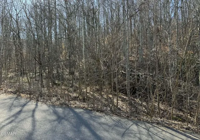 4th image of 27 Blue Springs Way, Newport, TN 37821 | MLS# 3272753