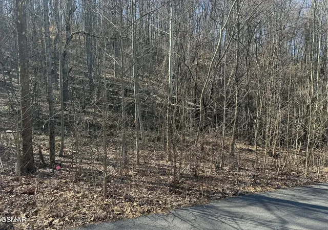 5th image of 27 Blue Springs Way, Newport, TN 37821 | MLS# 3272753