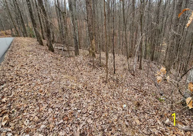 1st image of 2225 King Hollow Road, Sevierville, TN 37876 | MLS# 3263113