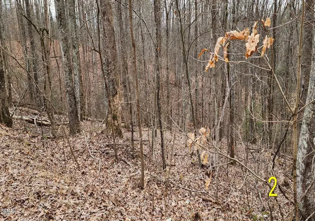 4th image of 2225 King Hollow Road, Sevierville, TN 37876 | MLS# 3263113