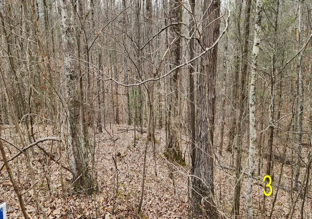 5th image of 2225 King Hollow Road, Sevierville, TN 37876 | MLS# 3263113