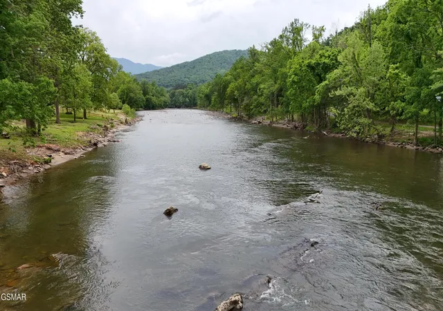 2nd image of 2259 Hartford Road, Cosby, TN 37722 | MLS# 3302451