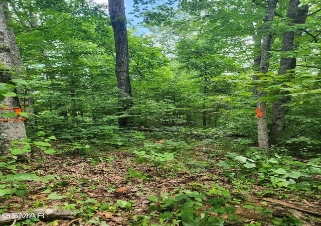 4th image of 0 Lower Rinehart Road, Dandridge, TN 37725 | MLS# 3284095