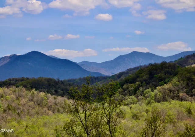 2nd image of 224 Woodland Road #UNIT 103, Gatlinburg, TN 37738 | MLS# 3302123