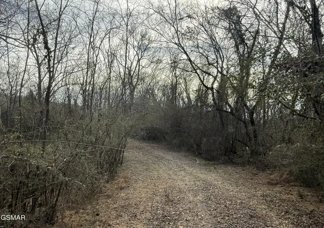 13th image of 0 Chickory Road, Newport, TN 37821 | MLS# 3320288