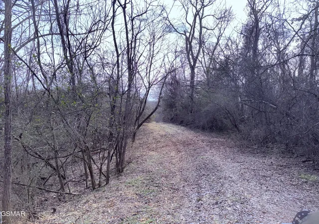 2nd image of 0 Chickory Road, Newport, TN 37821 | MLS# 3320288