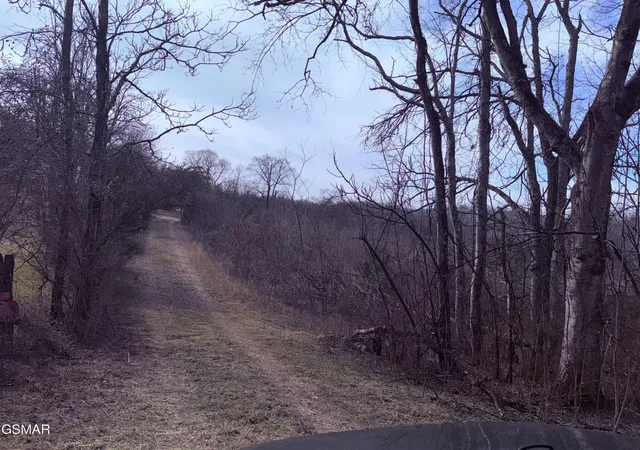 3rd image of 0 Chickory Road, Newport, TN 37821 | MLS# 3320288