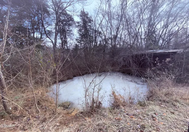 4th image of 0 Chickory Road, Newport, TN 37821 | MLS# 3320288