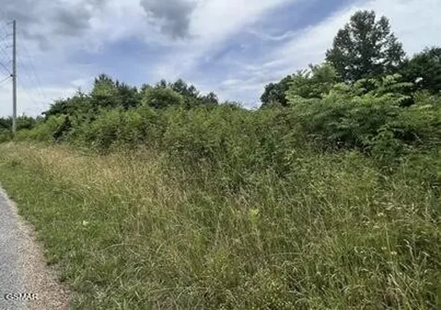 1st image of 0 Saddleridge Dr, Speedwell, TN 37870 | MLS# 3320284