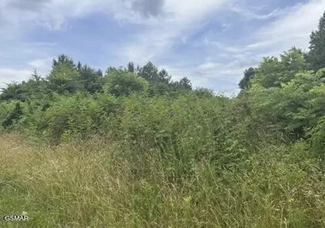 2nd image of 0 Saddleridge Dr, Speedwell, TN 37870 | MLS# 3320284