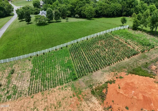 Photo 2 of Land for sale at 925 Holston Shrs Dr, Rutledge, TN 37861 | MLS# 3302450 | Listing updated on 2026-08-19