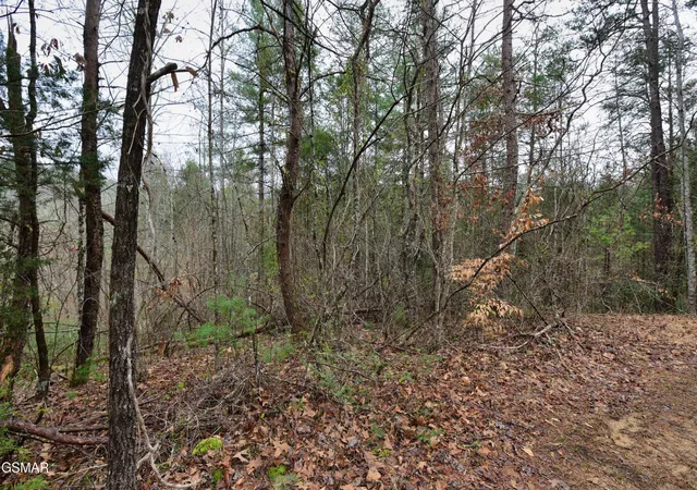 Homes for sale in Sevierville, TN | 23 Alpine Ridge Way, Sevierville, TN 37876 | MLS# 3263516