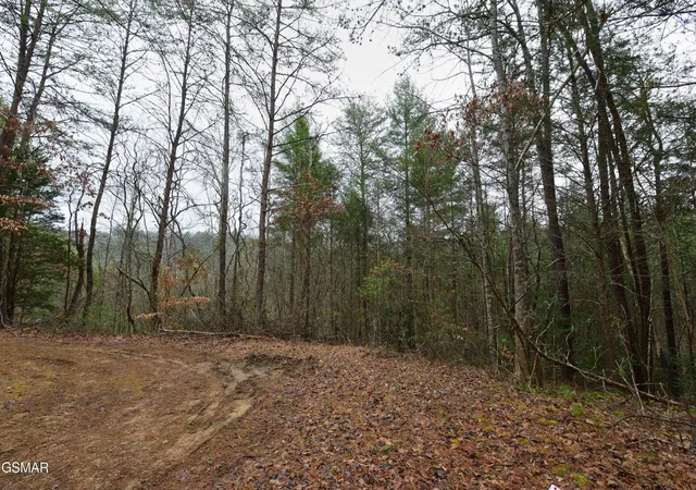 Homes for sale in Sevierville, TN | 23 Alpine Ridge Way, Sevierville, TN 37876 | MLS# 3263516