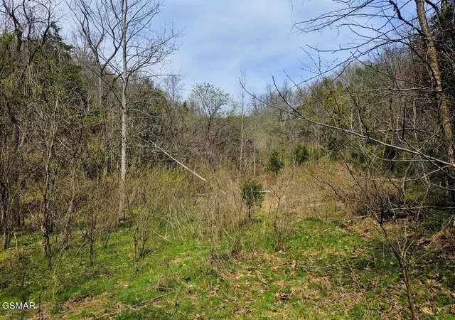 1st image of 0 Mcamis Hollow Road, Newport, TN 37821 | MLS# 3302222