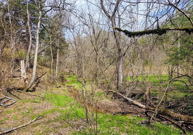 15th image of 0 Mcamis Hollow Road, Newport, TN 37821 | MLS# 3302222