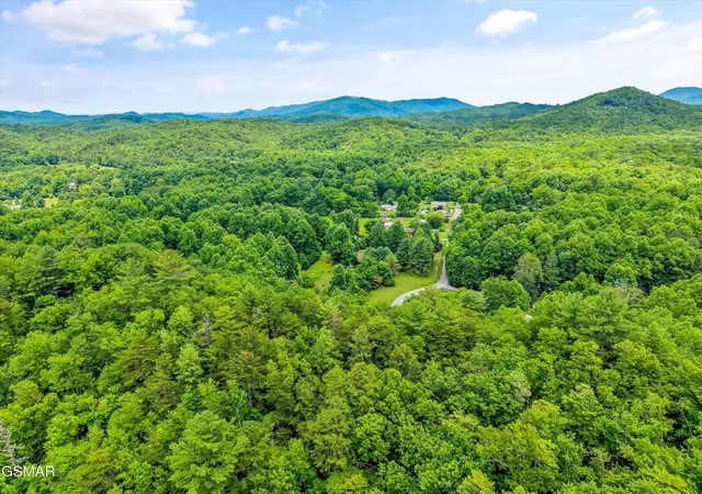51st image of 5236 Mathis Branch Road, Cosby, TN 37722 | MLS# 3304411