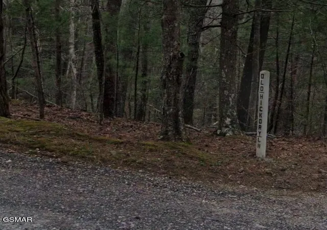 1st image of 0 Old Hickory Road, Tellico Plains, TN 37385 | MLS# 3278293