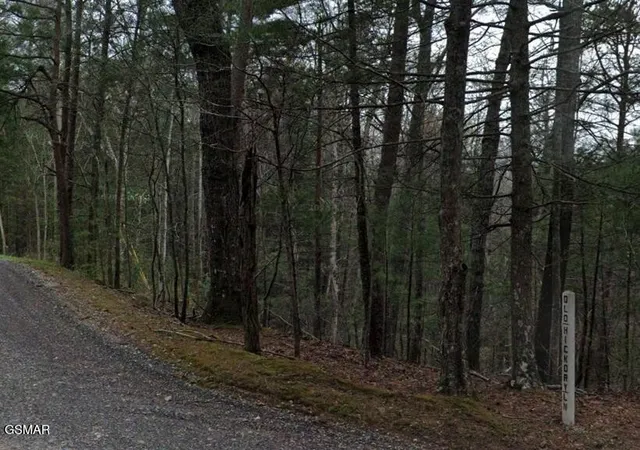 2nd image of 0 Old Hickory Road, Tellico Plains, TN 37385 | MLS# 3278293