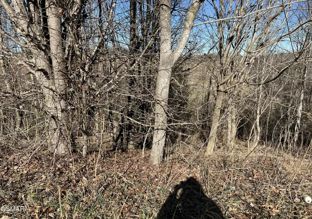 1st image of 3 Baldwin View Dr, New Market, TN 37820 | MLS# 3270037