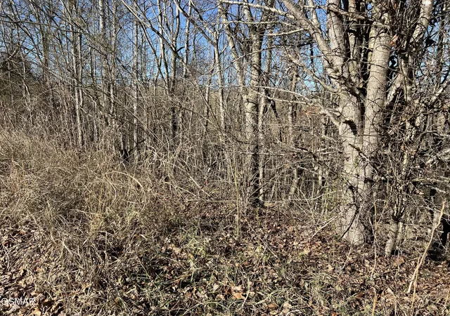 3rd image of 3 Baldwin View Dr, New Market, TN 37820 | MLS# 3270037