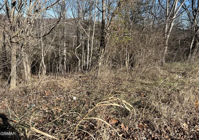 4th image of 3 Baldwin View Dr, New Market, TN 37820 | MLS# 3270037