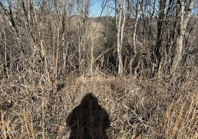 8th image of 3 Baldwin View Dr, New Market, TN 37820 | MLS# 3270037