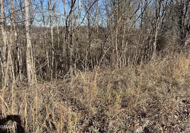 1st image of 2 Baldwin View Dr, New Market, TN 37820 | MLS# 3270029