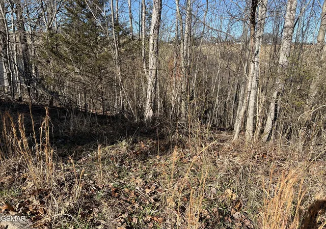 2nd image of 2 Baldwin View Dr, New Market, TN 37820 | MLS# 3270029