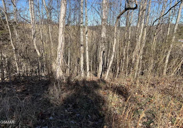 3rd image of 2 Baldwin View Dr, New Market, TN 37820 | MLS# 3270029