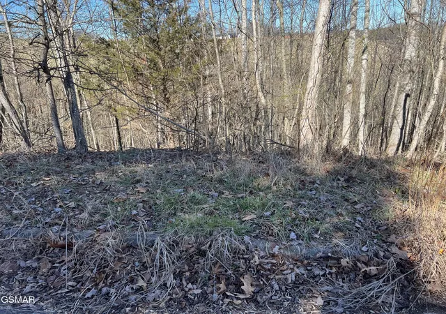 5th image of 2 Baldwin View Dr, New Market, TN 37820 | MLS# 3270029