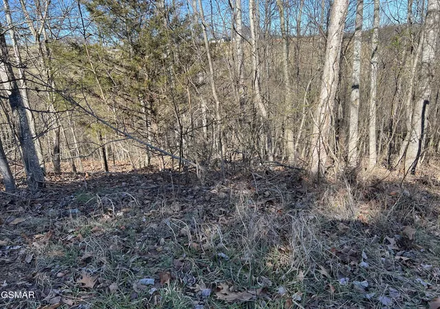 7th image of 2 Baldwin View Dr, New Market, TN 37820 | MLS# 3270029
