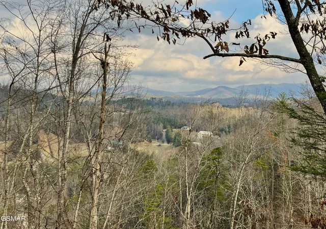 Homes for sale in Sevierville, TN | 106107 Dollys Dr, Sevierville, TN 37876 | MLS# 3264191