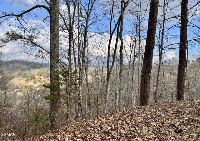 Homes for sale in Sevierville, TN | 106107 Dollys Dr, Sevierville, TN 37876 | MLS# 3264191