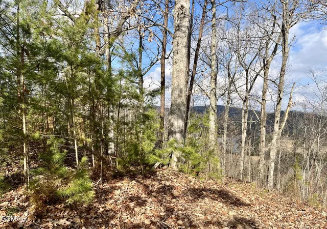 Homes for sale in Sevierville, TN | 106107 Dollys Dr, Sevierville, TN 37876 | MLS# 3264191