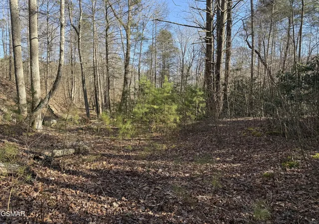 2nd image of 805 Bogard Creek Road, Cosby, TN 37722 | MLS# 3320285