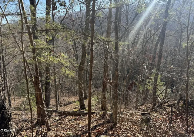 21st image of 805 Bogard Creek Road, Cosby, TN 37722 | MLS# 3320285