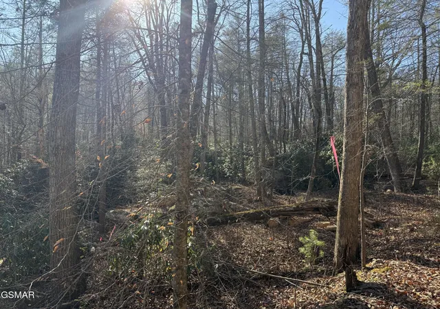 3rd image of 805 Bogard Creek Road, Cosby, TN 37722 | MLS# 3320285