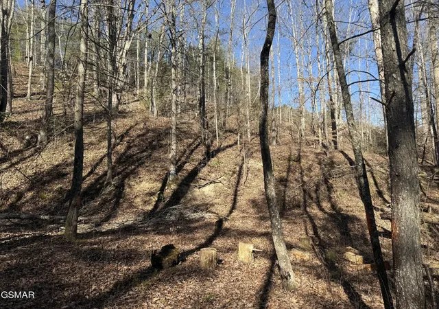 4th image of 805 Bogard Creek Road, Cosby, TN 37722 | MLS# 3320285