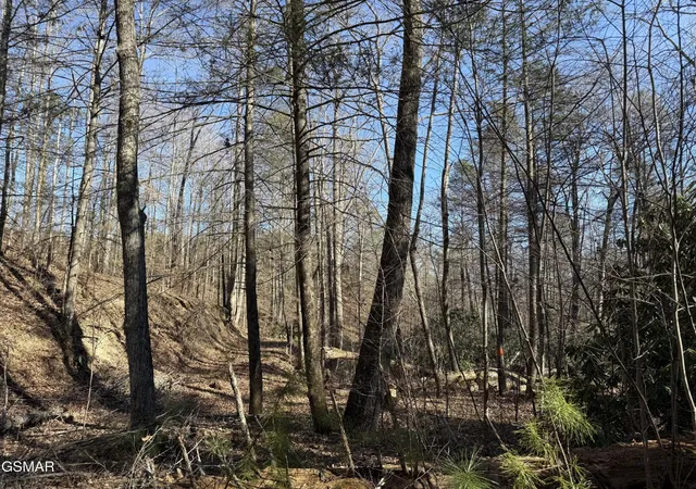 5th image of 805 Bogard Creek Road, Cosby, TN 37722 | MLS# 3320285