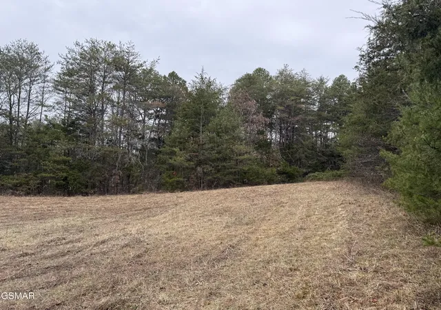 2nd image of 0 Off Allen Chapel Road, Parrottsville, TN 37843 | MLS# 3320299