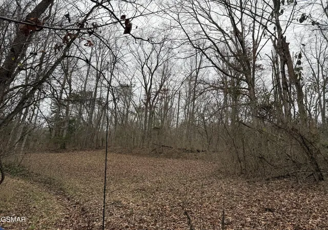 3rd image of 0 Off Allen Chapel Road, Parrottsville, TN 37843 | MLS# 3320299