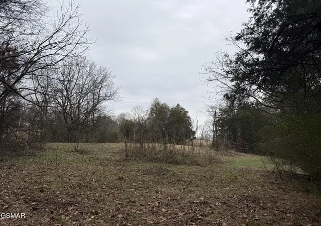 5th image of 0 Off Allen Chapel Road, Parrottsville, TN 37843 | MLS# 3320299